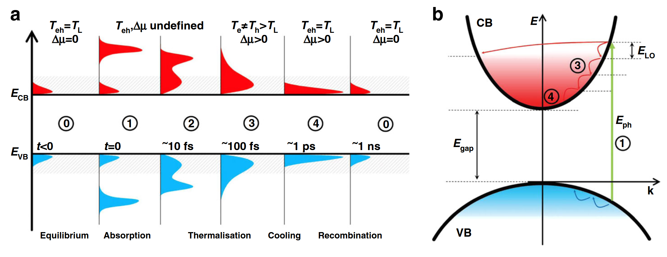 Band Structure of GaAs